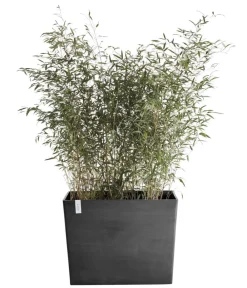 Ecopots Pflanzkübel & Blumenkästen - Kunststoff-Kasten Paris mit Rollen, rechteckig Dunkelgrau