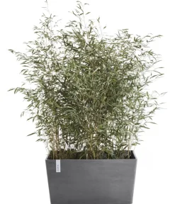 Ecopots Pflanzkübel & Blumenkästen - Kunststoff-Kasten Paris, rechteckig Grau