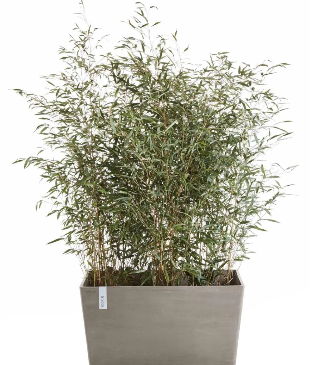 Ecopots Pflanzkübel & Blumenkästen - Kunststoff-Kasten Paris, rechteckig Taupe