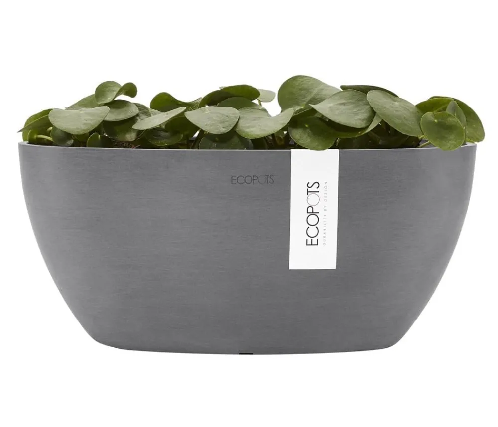 Ecopots Kunststoff-Schale Sofia mit Wassersystem, oval Grau Sale
