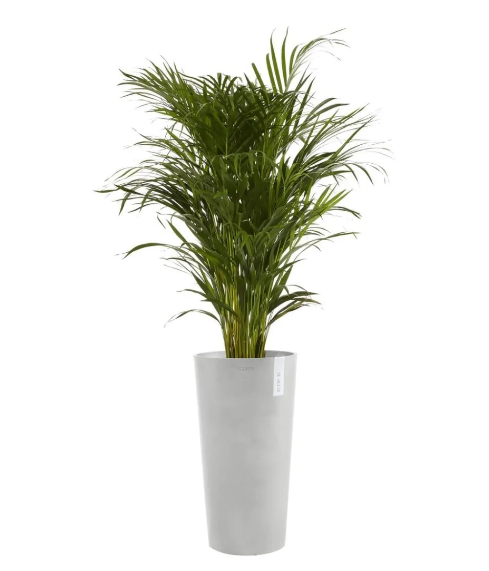 Ecopots Blumentöpfe & Übertöpfe > Kunststoff-Topf Amsterdam hoch, rund