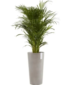 Ecopots Blumentöpfe & Übertöpfe - Kunststoff-Topf Amsterdam hoch, rund Taupe