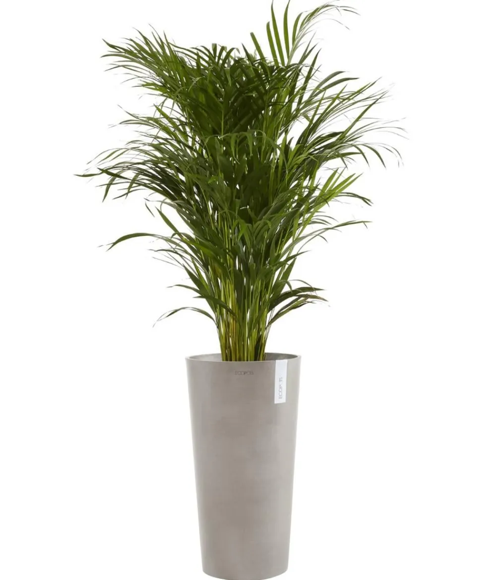 Ecopots Blumentöpfe & Übertöpfe - Kunststoff-Topf Amsterdam hoch, rund Taupe