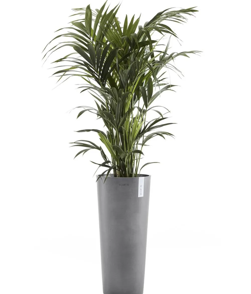 Ecopots Blumentöpfe & Übertöpfe - Kunststoff-Topf Amsterdam hoch, rund Grau