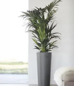 Ecopots Blumentöpfe & Übertöpfe - Kunststoff-Topf Amsterdam hoch, rund Grau