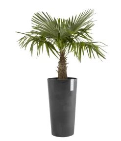Ecopots Blumentöpfe & Übertöpfe > Kunststoff-Topf Amsterdam hoch, rund