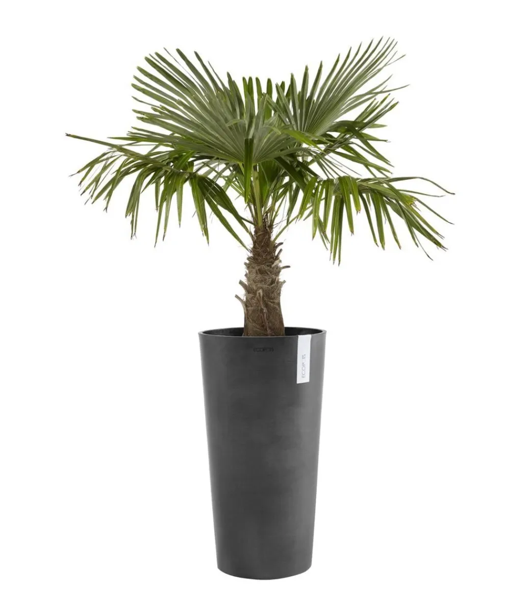 Ecopots Blumentöpfe & Übertöpfe > Kunststoff-Topf Amsterdam hoch, rund