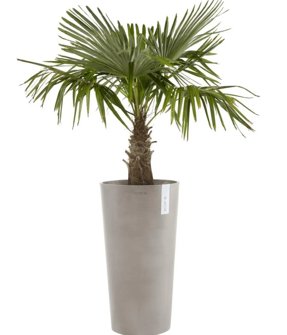 Ecopots Kunststoff-Topf Amsterdam hoch, rund Taupe Clearance