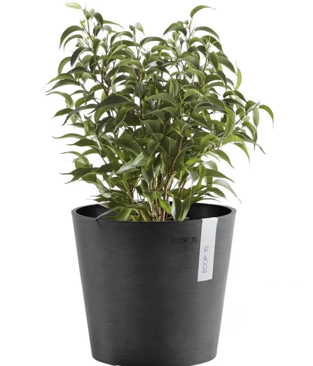 Ecopots Blumentöpfe & Übertöpfe > Kunststoff-Topf Amsterdam Mini, rund, ca. Ø17/H14,7 cm
