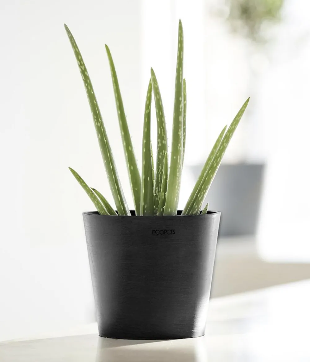 Ecopots Blumentöpfe & Übertöpfe > Kunststoff-Topf Amsterdam Mini, rund, ca. Ø17/H14,7 cm