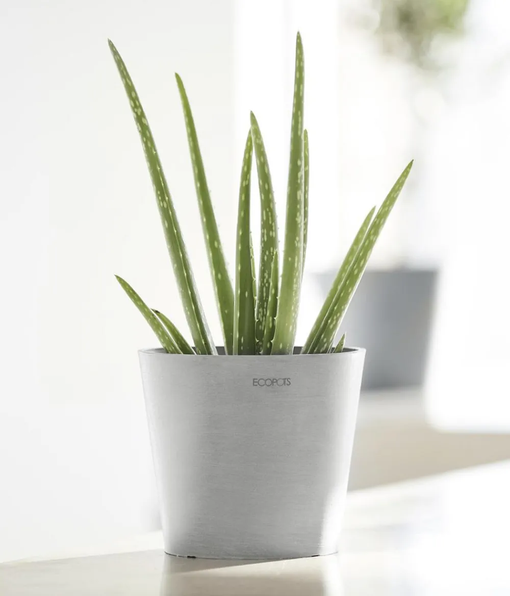 Ecopots Kunststoff-Topf Amsterdam Mini, rund, ca. Ø17/H14,7 cm Hellgrau New