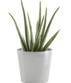 Ecopots Kunststoff-Topf Amsterdam Mini, rund, ca. Ø17/H14,7 cm Hellgrau New