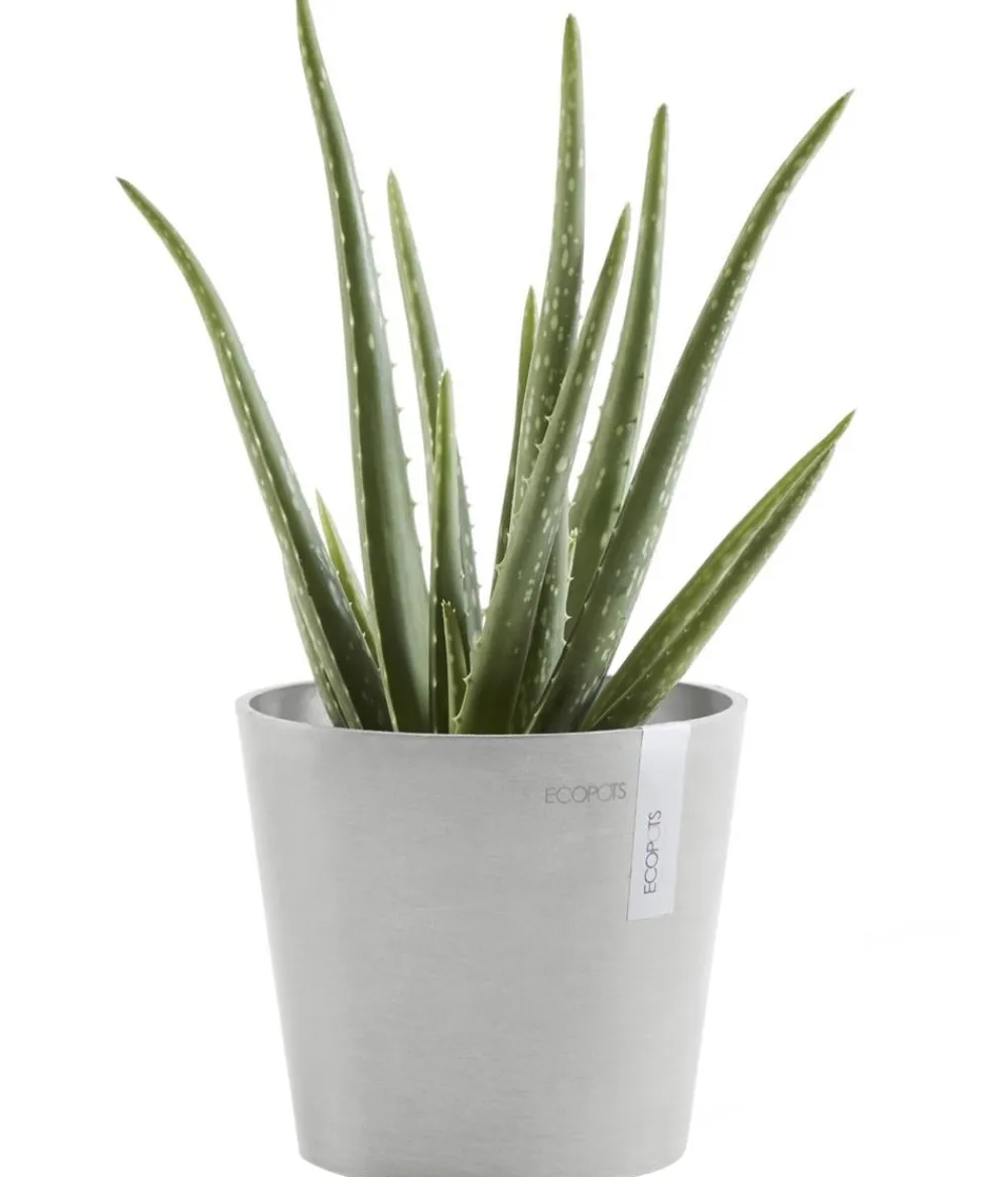 Ecopots Kunststoff-Topf Amsterdam Mini, rund, ca. Ø17/H14,7 cm Hellgrau New
