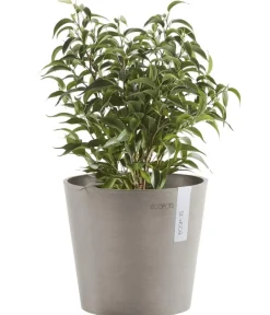 Ecopots Blumentöpfe & Übertöpfe - Kunststoff-Topf Amsterdam Mini, rund, ca. Ø17/H14,7 cm Taupe