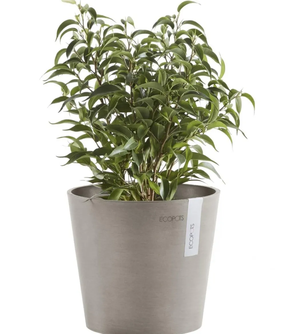 Ecopots Blumentöpfe & Übertöpfe - Kunststoff-Topf Amsterdam Mini, rund, ca. Ø17/H14,7 cm Taupe