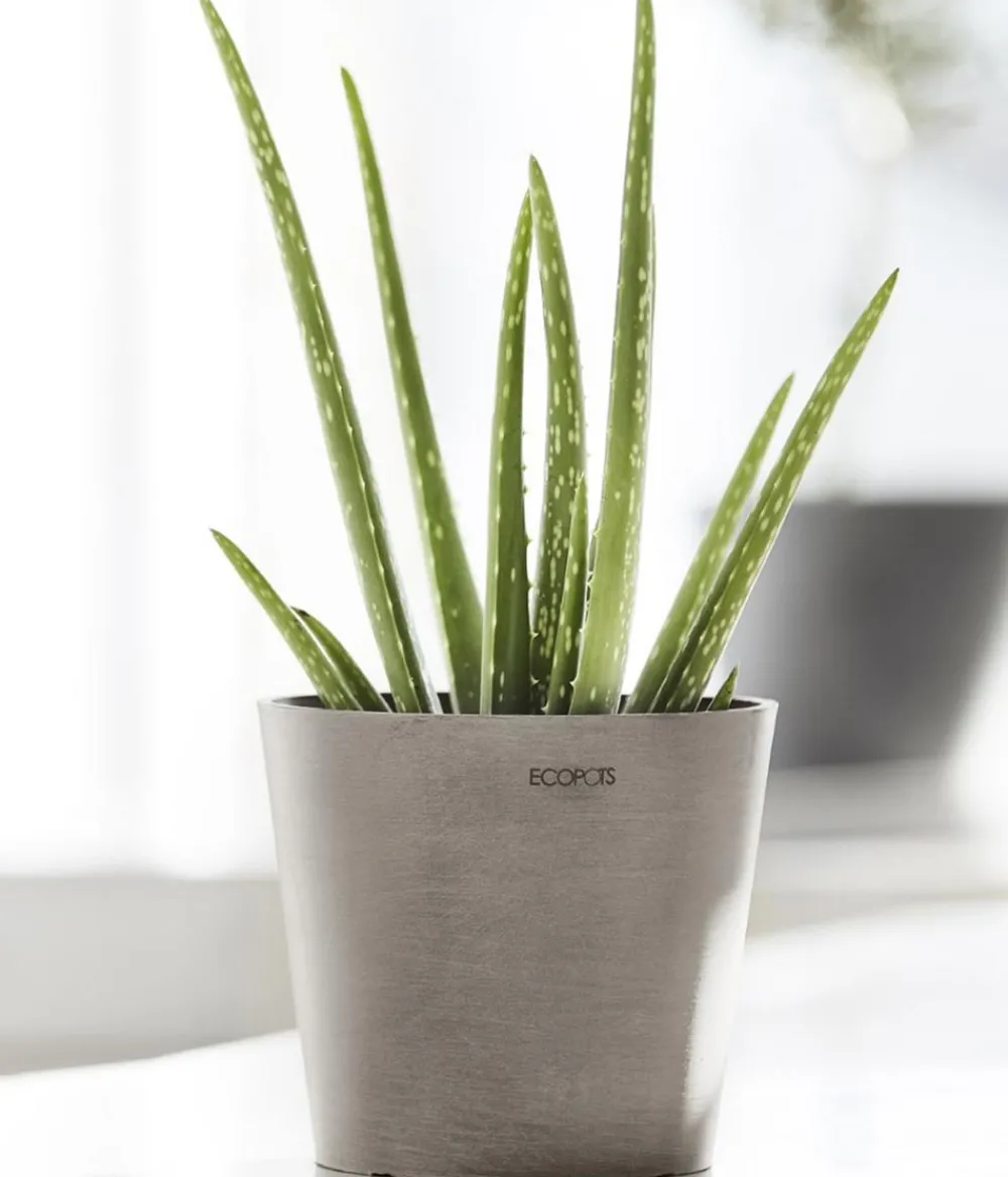 Ecopots Blumentöpfe & Übertöpfe - Kunststoff-Topf Amsterdam Mini, rund, ca. Ø17/H14,7 cm Taupe