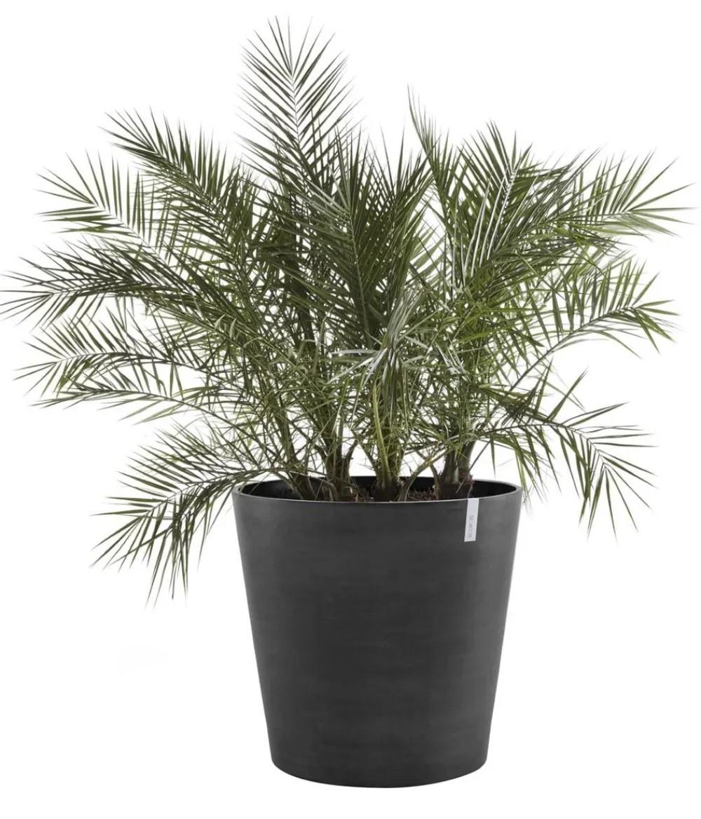 Ecopots Blumentöpfe & Übertöpfe > Kunststoff-Topf Amsterdam mit Rollen, rund