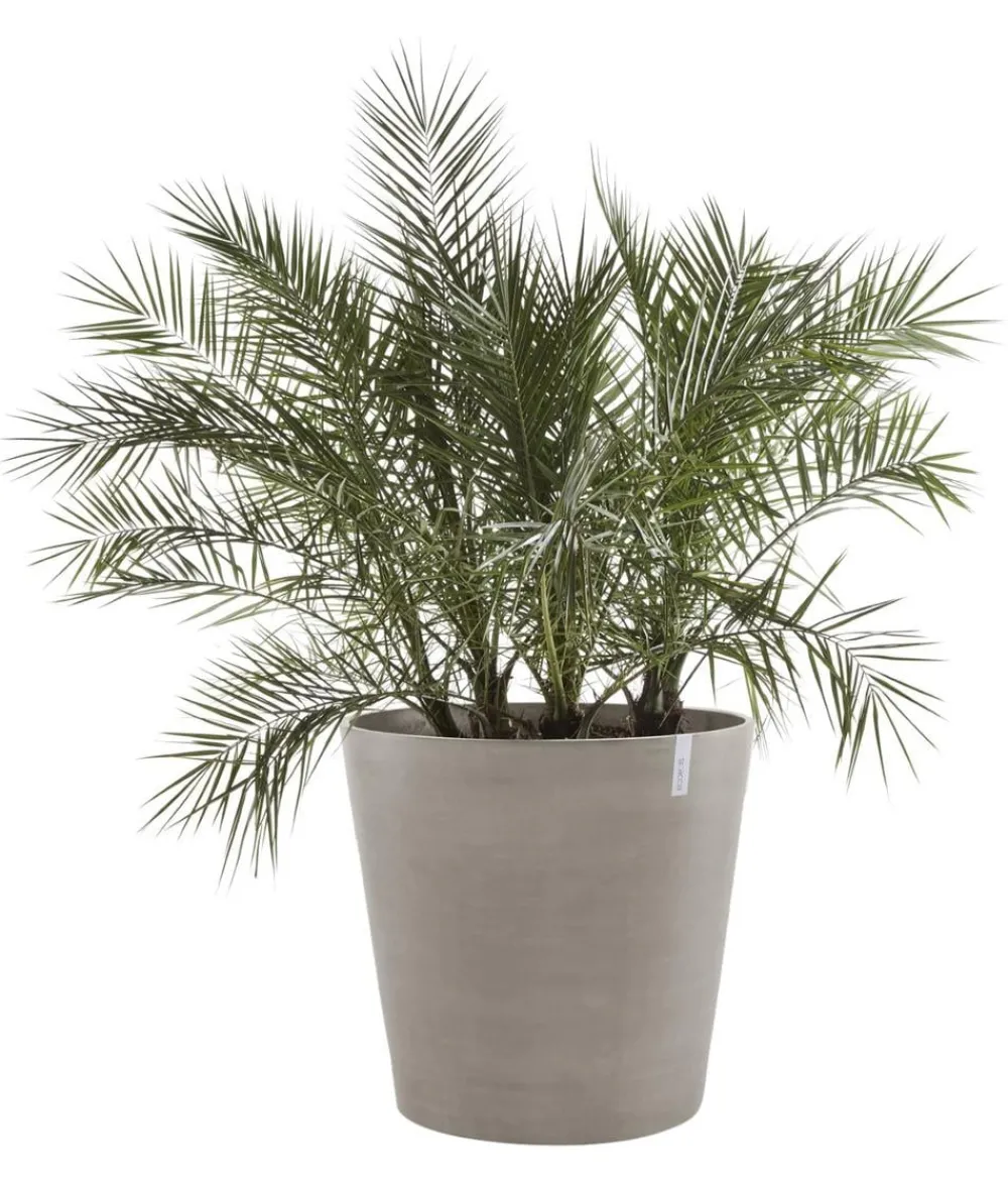 Ecopots Kunststoff-Topf Amsterdam mit Rollen, rund Taupe