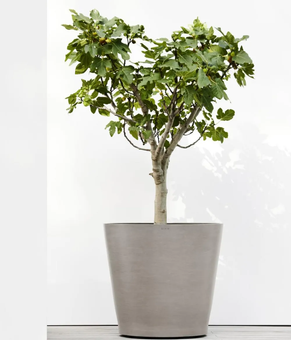 Ecopots Kunststoff-Topf Amsterdam mit Rollen, rund Taupe
