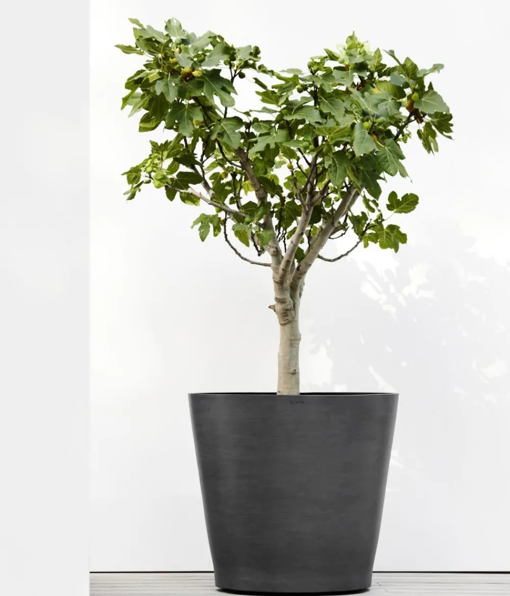 Ecopots Blumentöpfe & Übertöpfe - Kunststoff-Topf Amsterdam mit Rollen, rund Dunkelgrau