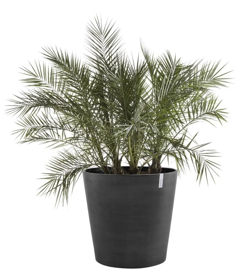 Ecopots Blumentöpfe & Übertöpfe - Kunststoff-Topf Amsterdam mit Rollen, rund Dunkelgrau