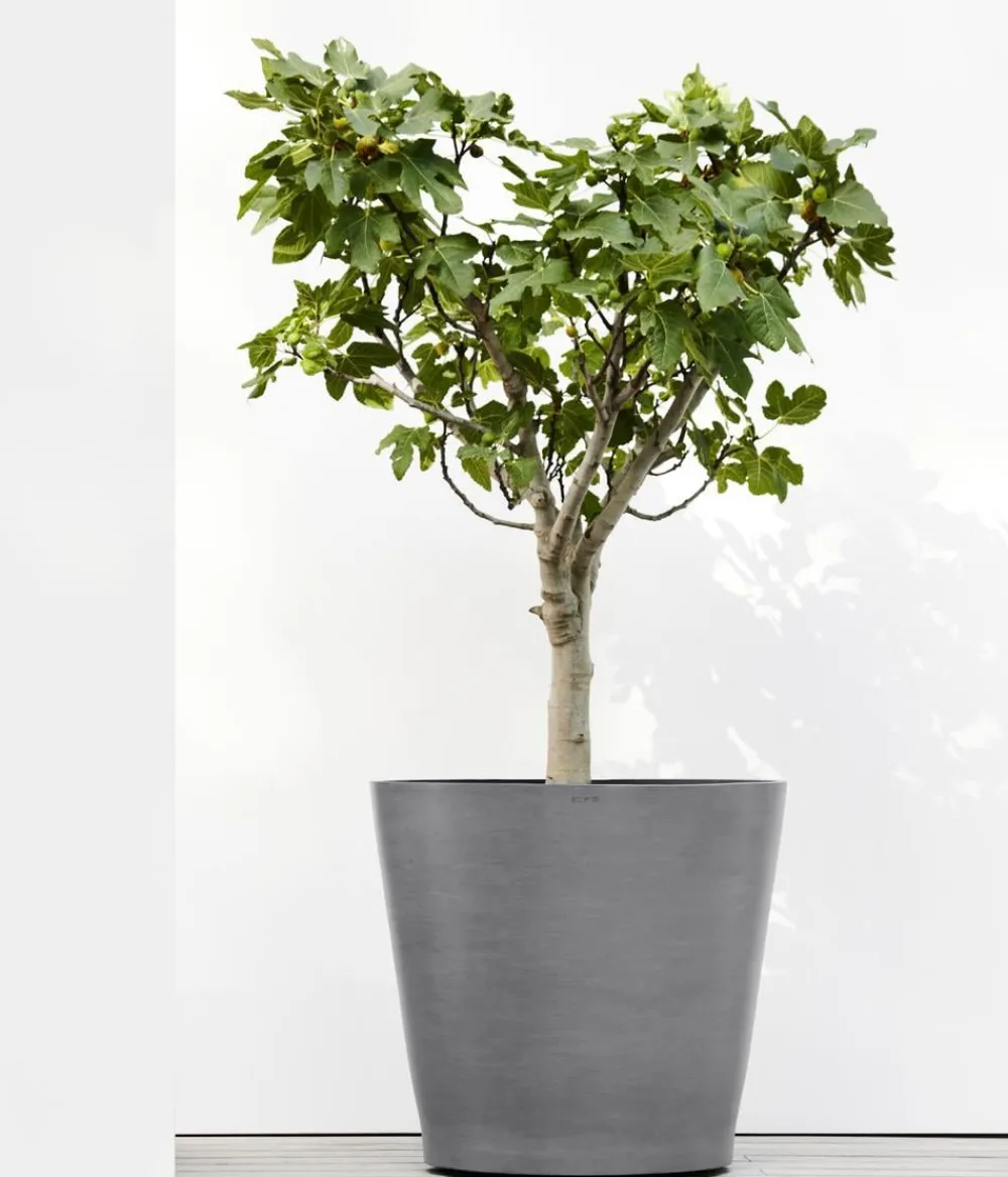 Ecopots Blumentöpfe & Übertöpfe - Kunststoff-Topf Amsterdam mit Rollen, rund Grau
