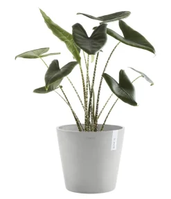 Ecopots Blumentöpfe & Übertöpfe > Kunststoff-Topf Amsterdam mit Wassersystem, rund