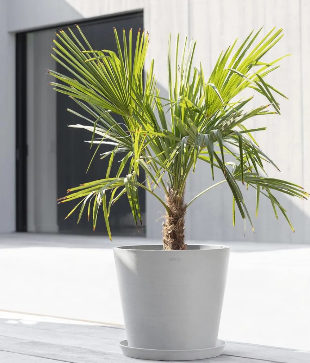 Ecopots Blumentöpfe & Übertöpfe > Kunststoff-Topf Amsterdam mit Wassersystem, rund