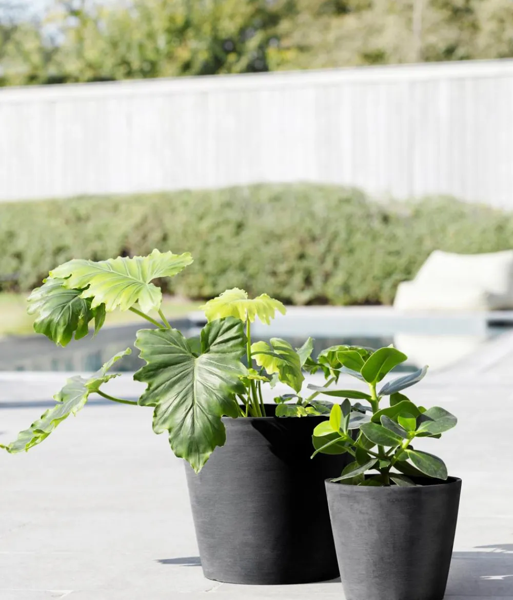 Ecopots Kunststoff-Topf Amsterdam mit Wassersystem, rund Dunkelgrau Outlet