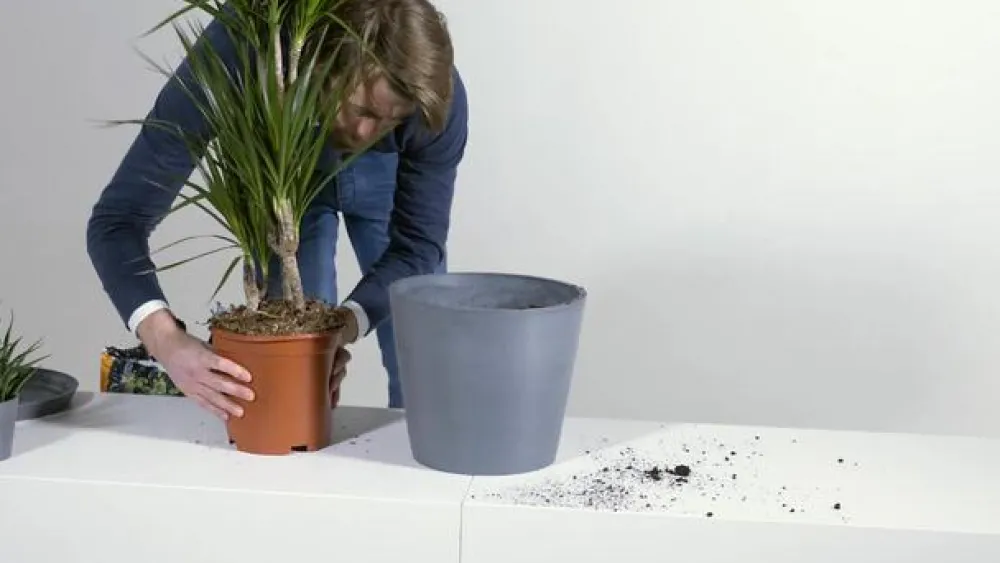 Ecopots Kunststoff-Topf Amsterdam mit Wassersystem, rund Dunkelgrau Outlet