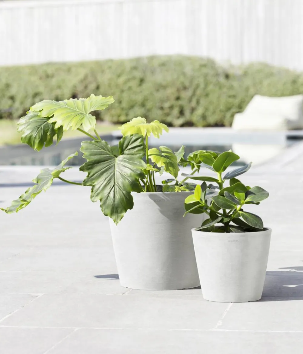 Ecopots Kunststoff-Topf Amsterdam mit Wassersystem, rund Weiß New