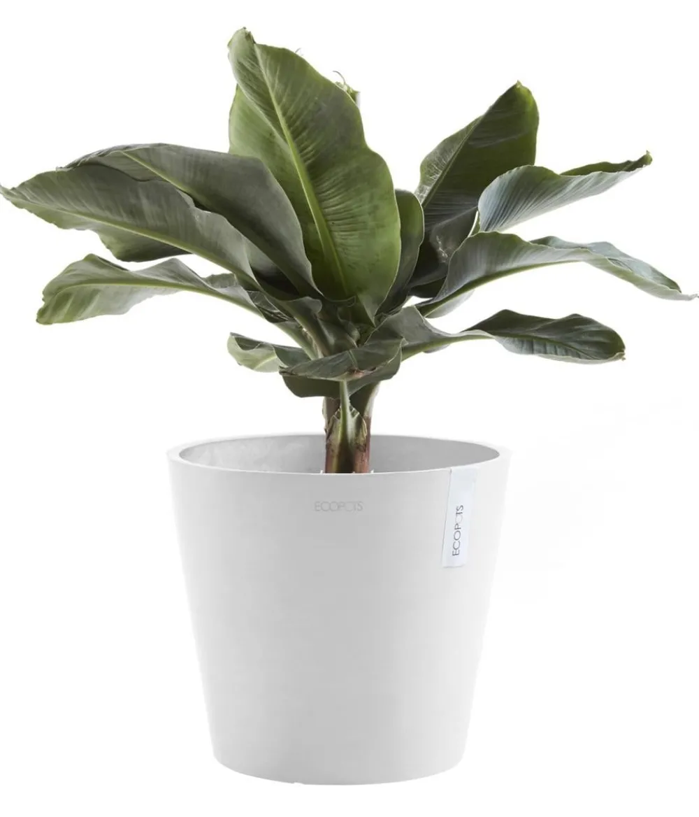Ecopots Kunststoff-Topf Amsterdam mit Wassersystem, rund Weiß New