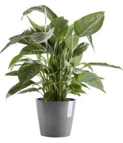 Ecopots Blumentöpfe & Übertöpfe - Kunststoff-Topf Amsterdam mit Wassersystem, rund Grau