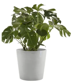 Ecopots Blumentöpfe & Übertöpfe - Kunststoff-Topf Amsterdam mit Wassersystem, rund Hellgrau