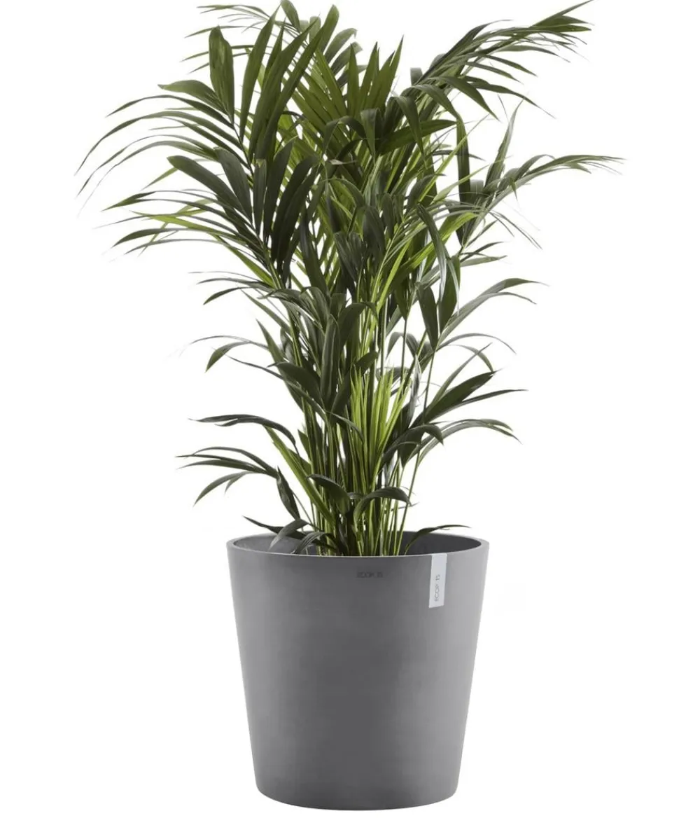 Ecopots Blumentöpfe & Übertöpfe > Kunststoff-Topf Amsterdam, rund