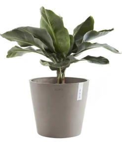Ecopots Blumentöpfe & Übertöpfe > Kunststoff-Topf Amsterdam, rund