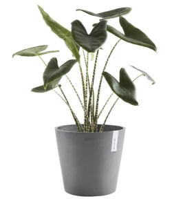 Ecopots Blumentöpfe & Übertöpfe > Kunststoff-Topf Amsterdam, rund