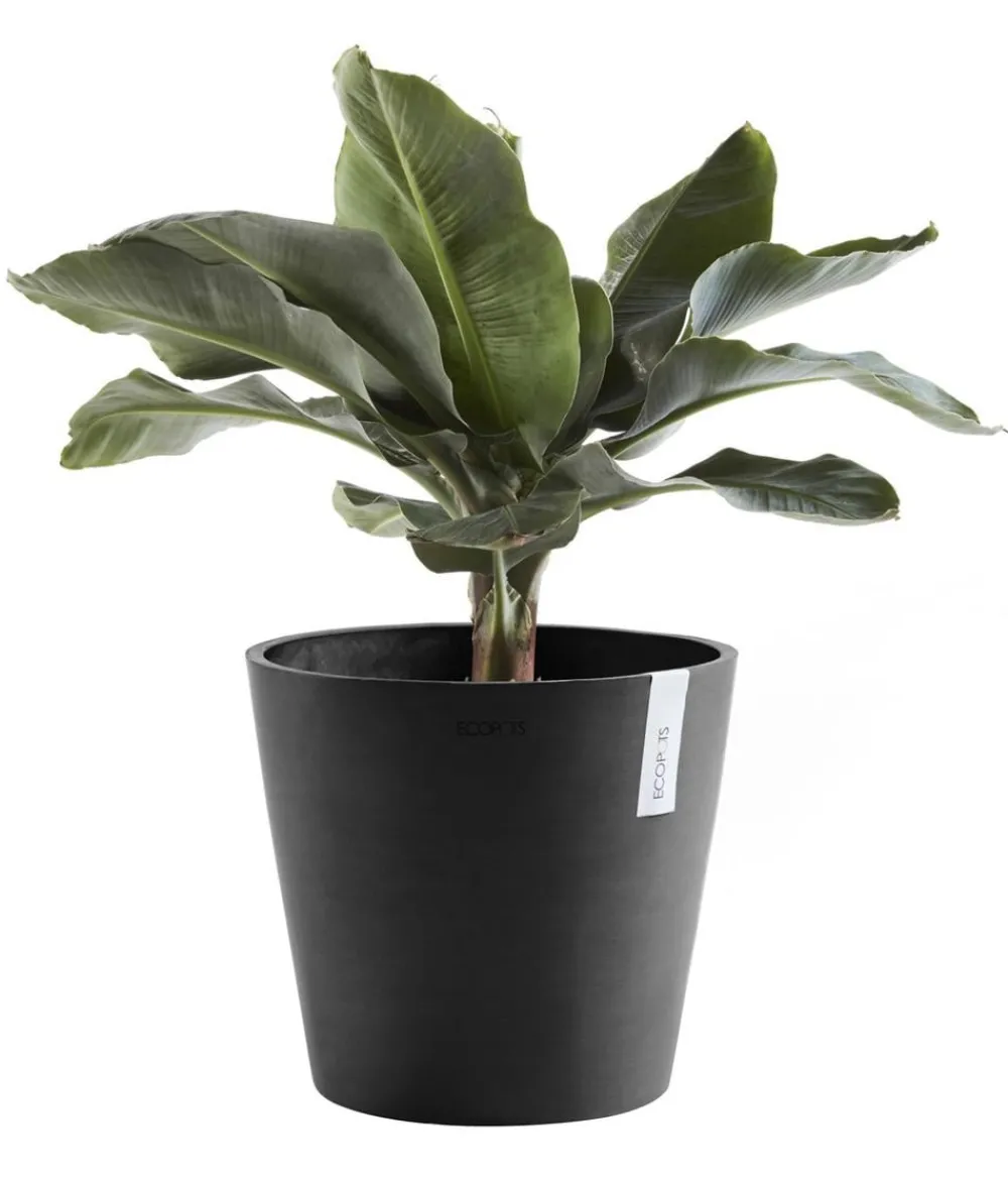 Ecopots Blumentöpfe & Übertöpfe > Kunststoff-Topf Amsterdam, rund