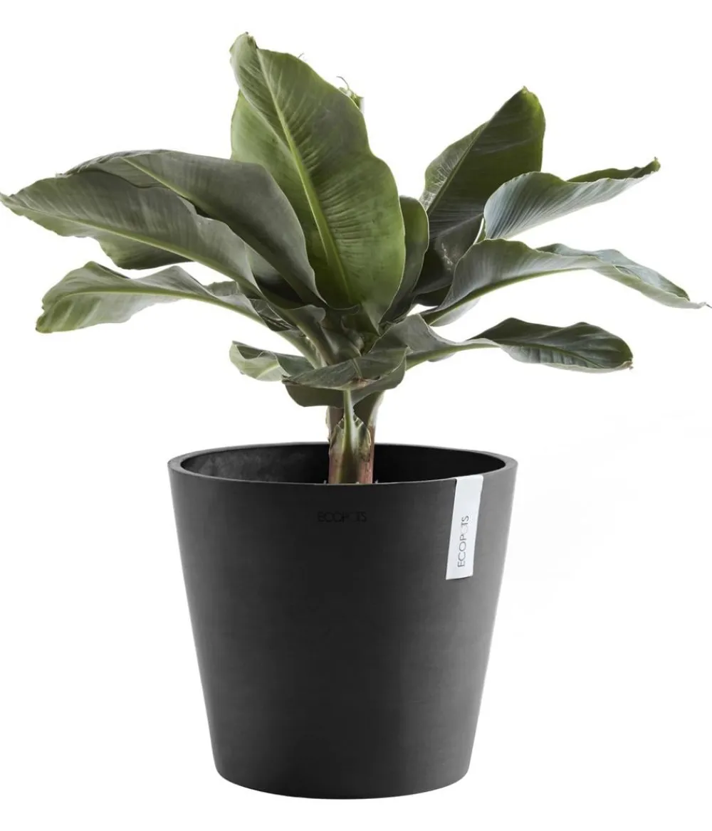 Ecopots Blumentöpfe & Übertöpfe > Kunststoff-Topf Amsterdam, rund