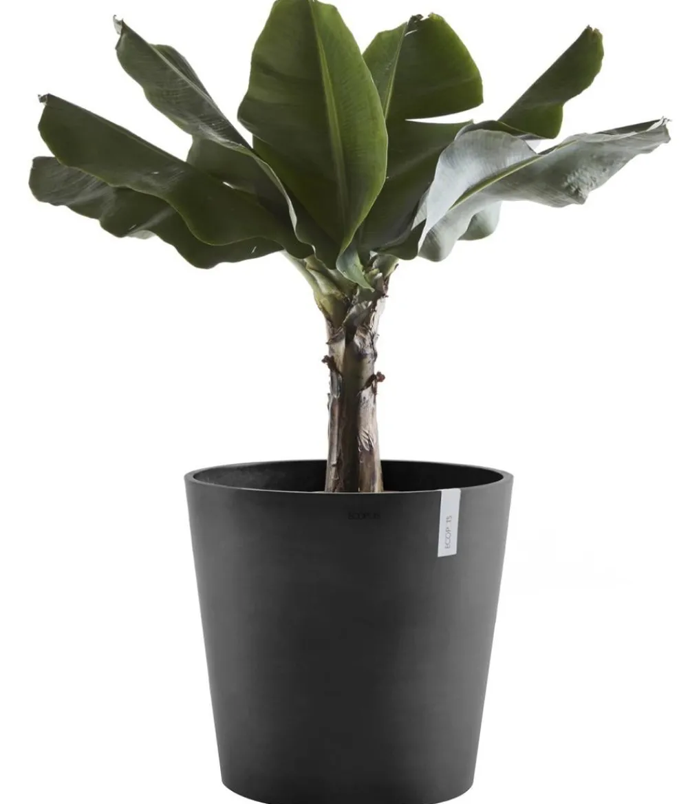 Ecopots Kunststoff-Topf Amsterdam, rund Dunkelgrau Best
