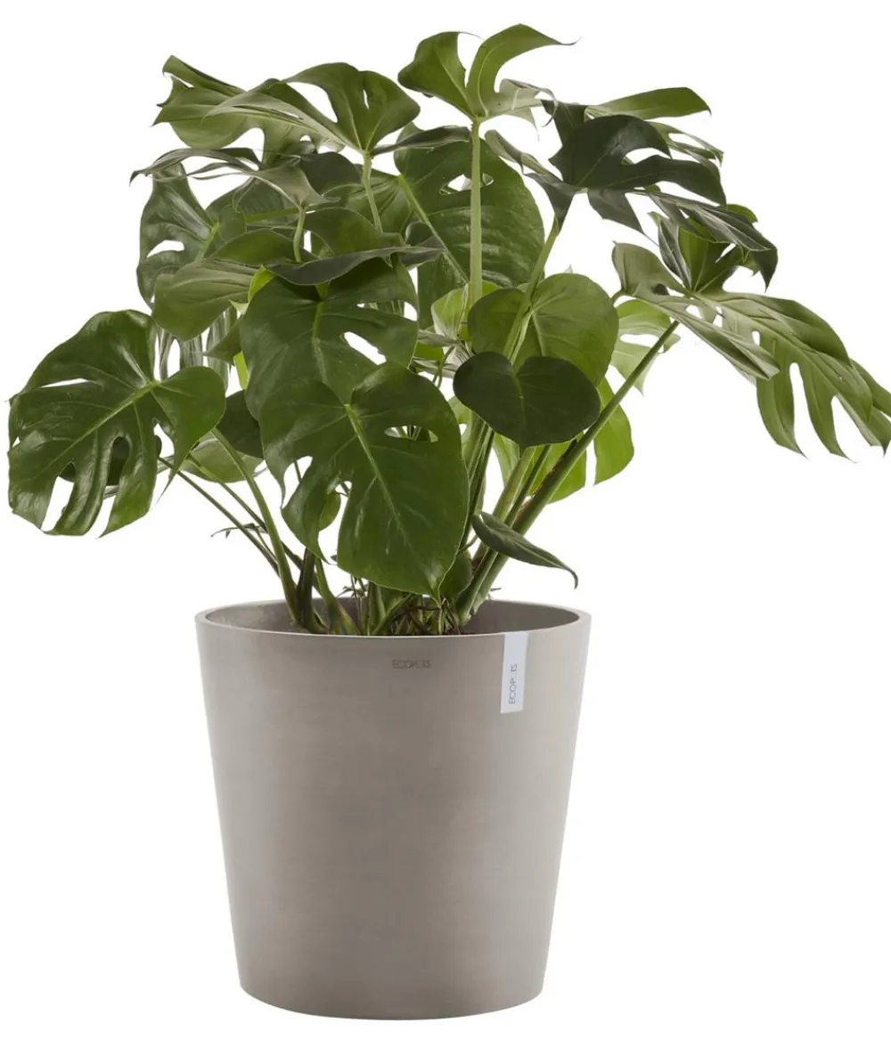 Ecopots Kunststoff-Topf Amsterdam, rund Taupe Online
