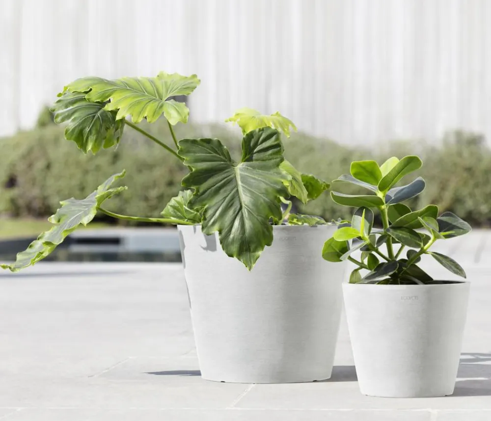 Ecopots Blumentöpfe & Übertöpfe - Kunststoff-Topf Amsterdam, rund Weiß
