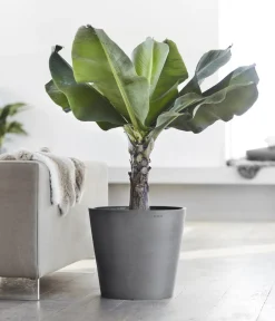 Ecopots Blumentöpfe & Übertöpfe - Kunststoff-Topf Amsterdam, rund Grau