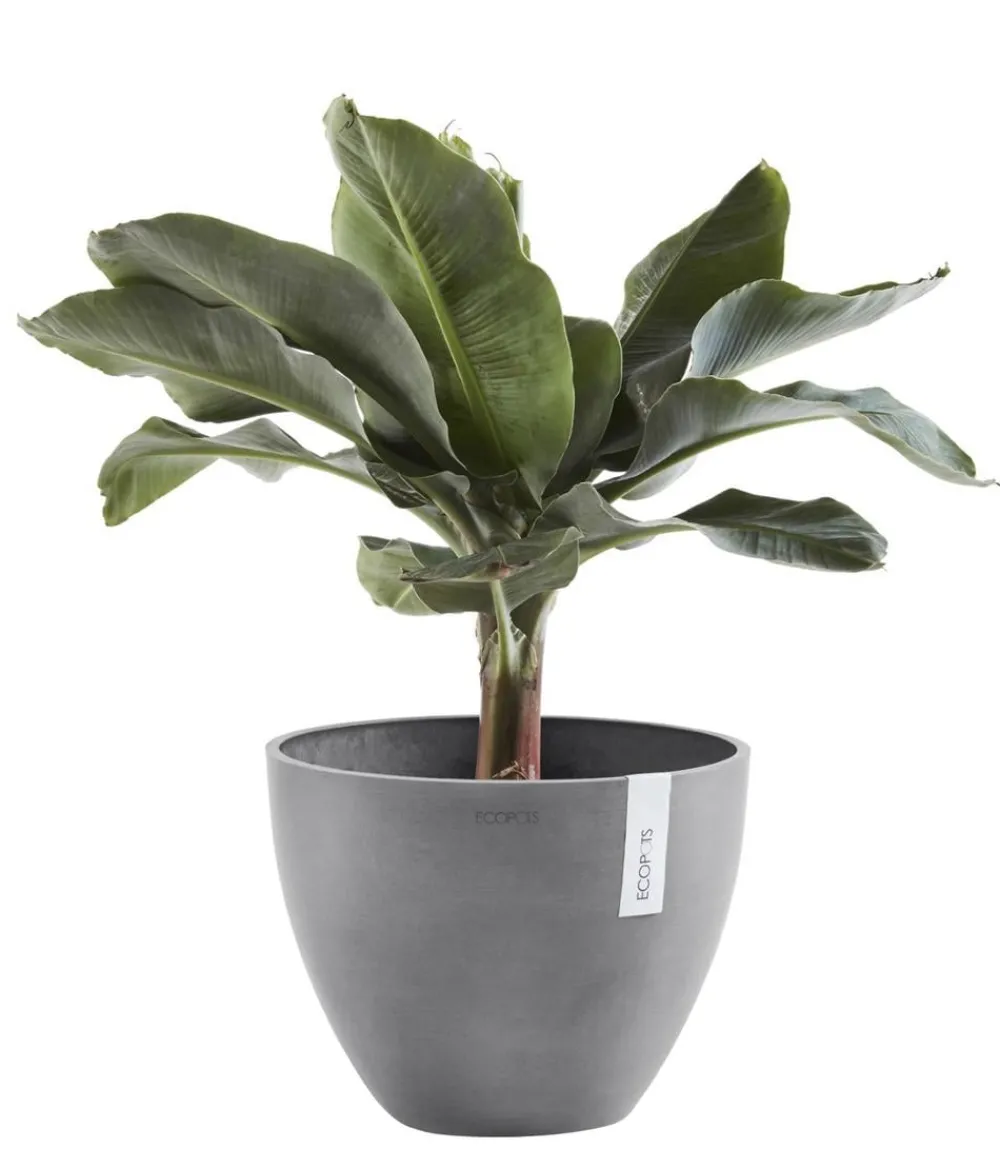 Ecopots Blumentöpfe & Übertöpfe > Kunststoff-Topf Antwerp, rund