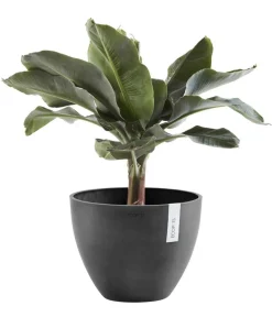 Ecopots Kunststoff-Topf Antwerp, rund Dunkelgrau
