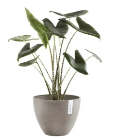 Ecopots Blumentöpfe & Übertöpfe - Kunststoff-Topf Antwerp, rund Taupe