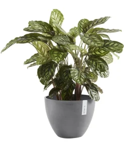 Ecopots Blumentöpfe & Übertöpfe - Kunststoff-Topf Antwerp, rund Grau