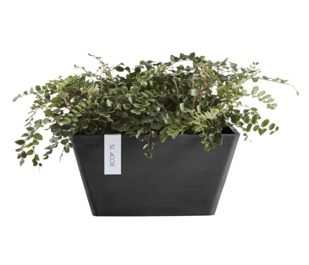 Ecopots Blumentöpfe & Übertöpfe > Kunststoff-Topf Berlin, quadratisch