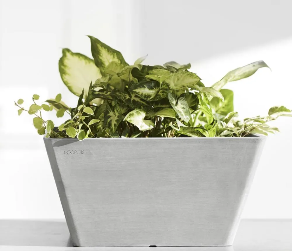 Ecopots Kunststoff-Topf Berlin, quadratisch Hellgrau Best