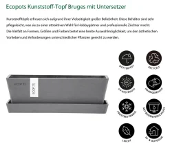 Ecopots Pflanzkübel & Blumenkästen > Kunststoff-Topf Bruges mit Untersetzer, rechteckig